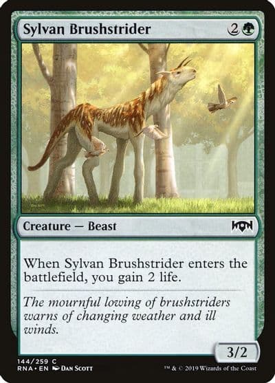 Sylvan Brushstrider Ravnica Allegiance Magic card