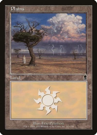 Plains 333 Odyssey Magic card