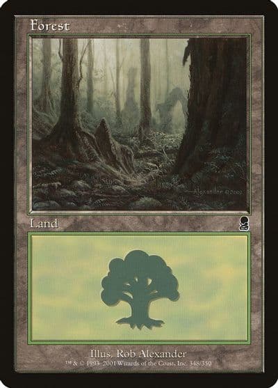 Forest 348 Odyssey Magic card
