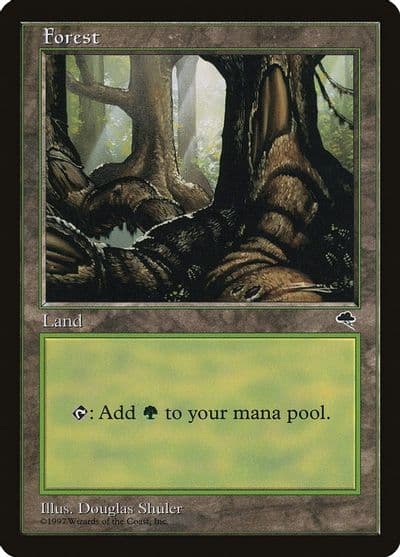 Forest Pond Tempest Magic card