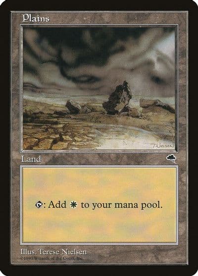 Plains Rocks Tempest Magic card