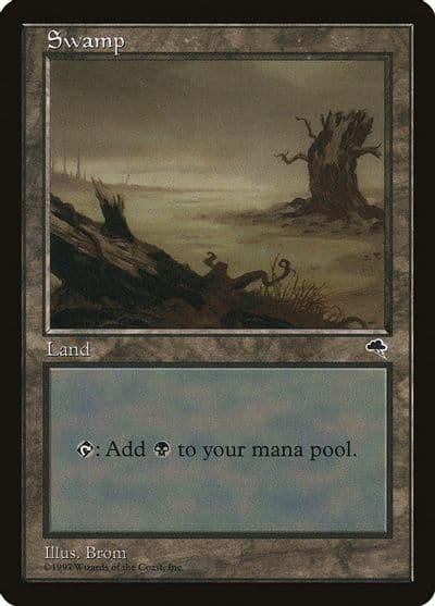 Swamp Horizontal Log Tempest Magic card