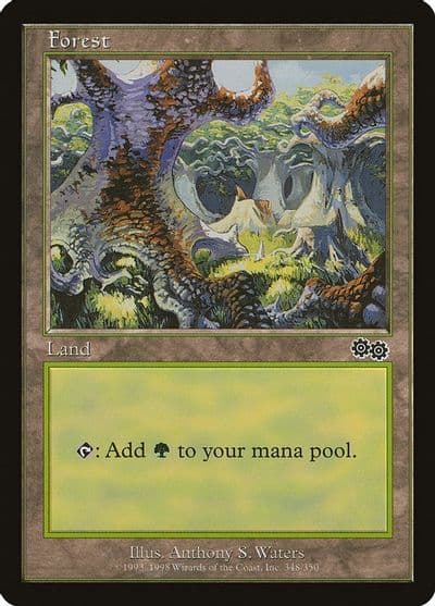 Forest 348 Urza's Saga Magic card