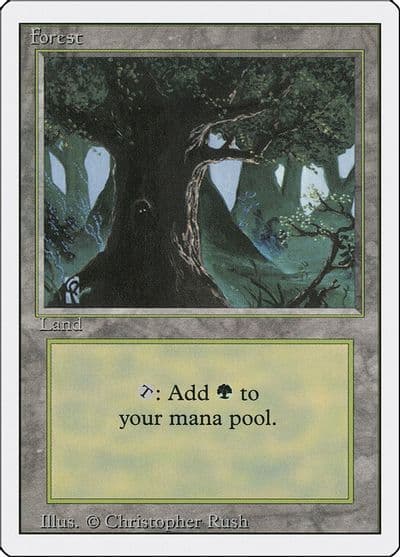 Forest C Revised Edition Magic card