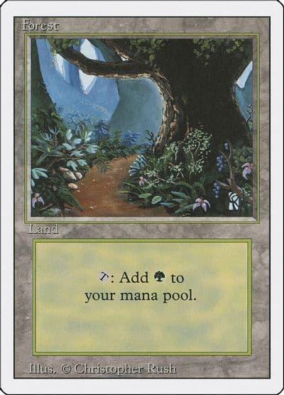 Forest B Revised Edition Magic card
