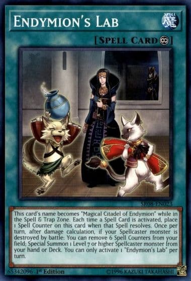 Endymions Lab Structure Deck: Order of the Spellcasters Yu-Gi-Oh! card