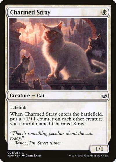 Charmed Stray War of the Spark Magic card
