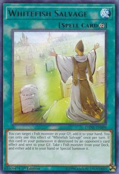 Whitefish Salvage Dark Neostorm Yu-Gi-Oh! card