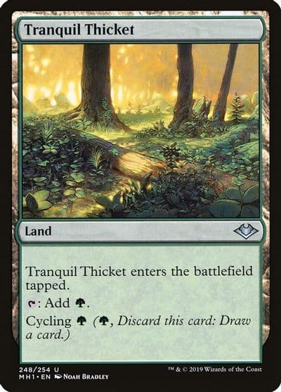 Tranquil Thicket Modern Horizons Magic card