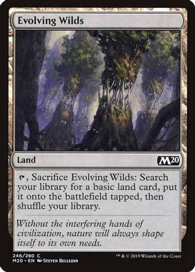 Evolving Wilds Core Set 2020 Magic card