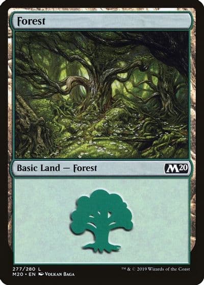 Forest Core Set 2020 Magic card