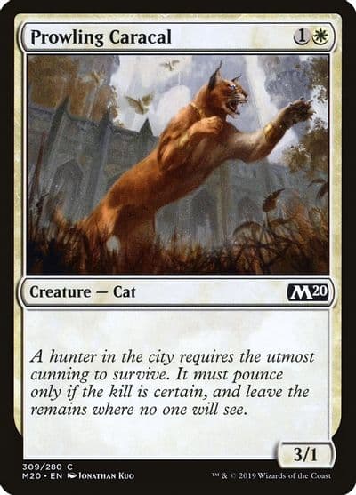 Prowling Caracal Core Set 2020 Magic card