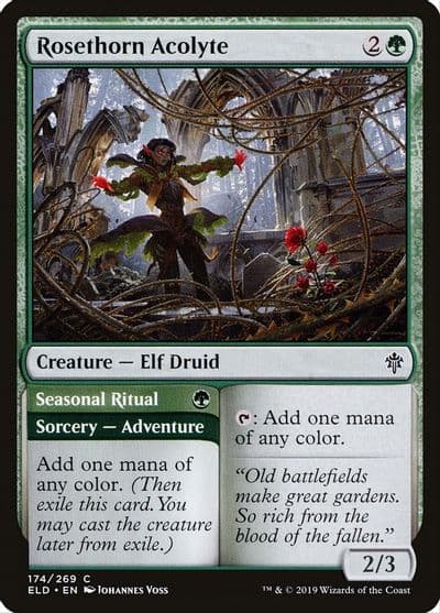 Rosethorn Acolyte Throne of Eldraine Magic card