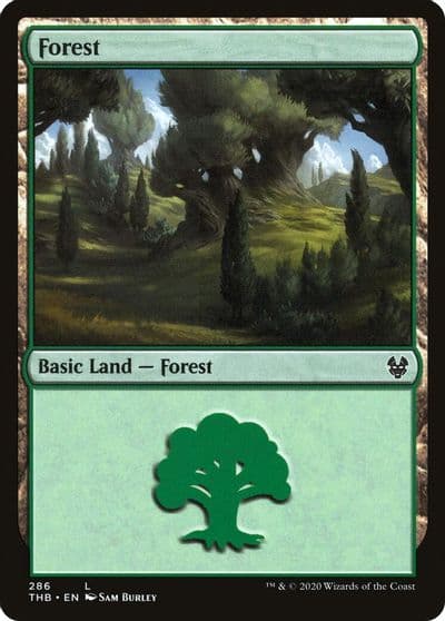 Forest 286 Theros Beyond Death Magic card