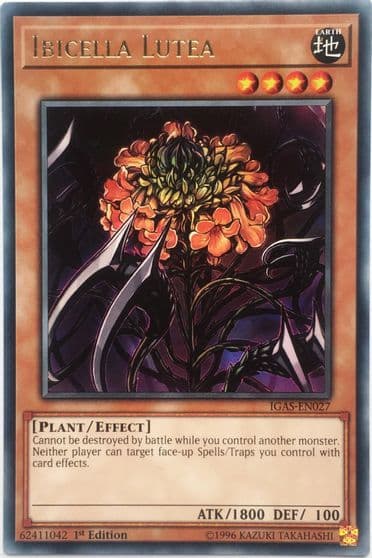 Ibicella Lutea Ignition Assault Yu-Gi-Oh! card