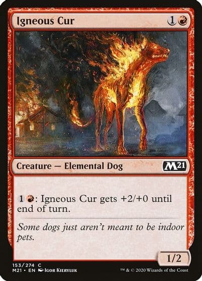 Igneous Cur Core Set 2021 Magic card
