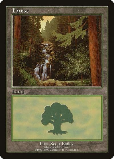 Forest Schwarzwald European Lands Magic card