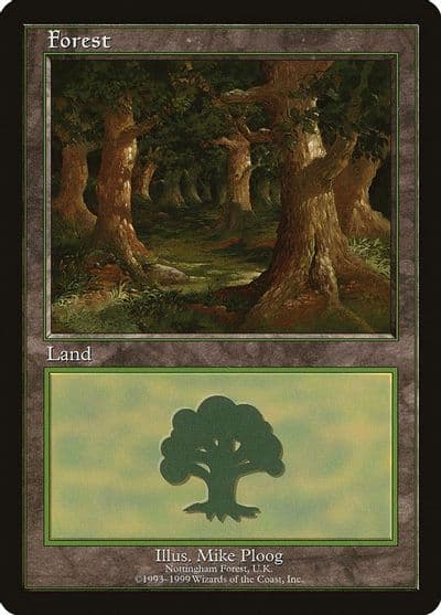 Forest Nottingham European Lands Magic card