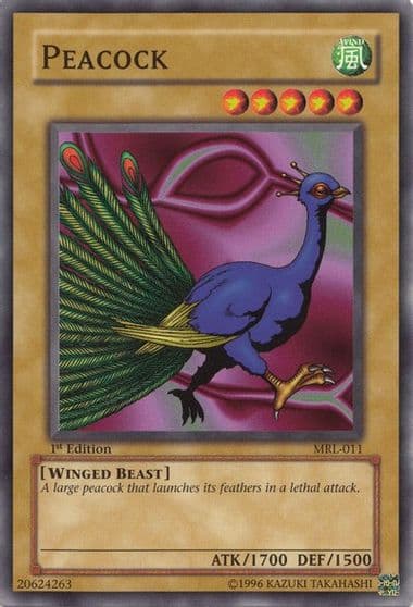 Peacock Magic Ruler Yu-Gi-Oh! card