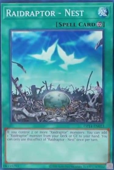Raidraptor Nest OTS Tournament Pack 14 Yu-Gi-Oh! card