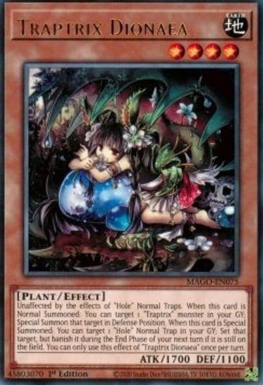 Traptrix Dionaea Maximum Gold Yu-Gi-Oh! card