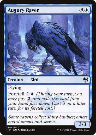 Augury Raven Kaldheim Magic card