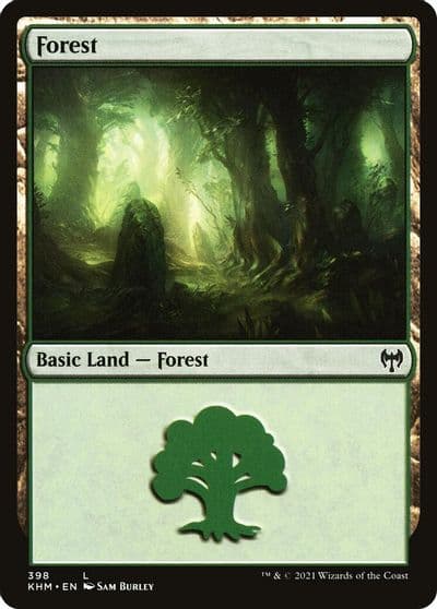 Forest Kaldheim Magic card