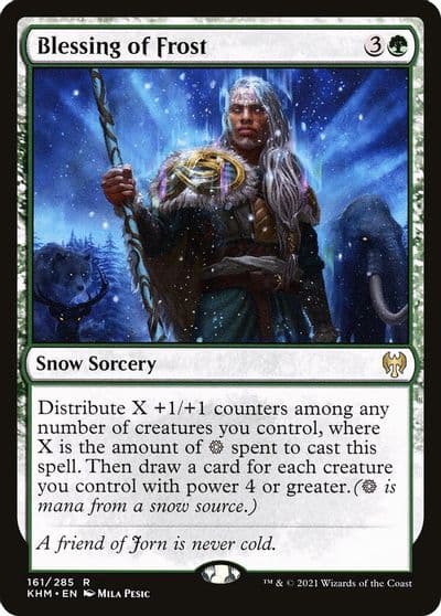 Blessing of Frost Kaldheim Magic card