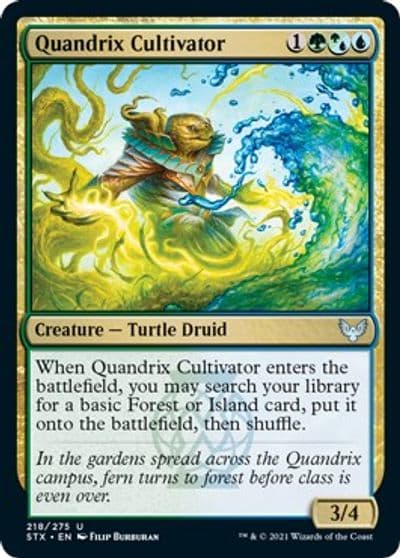 Quandrix Cultivator Strixhaven: School of Mages Magic card