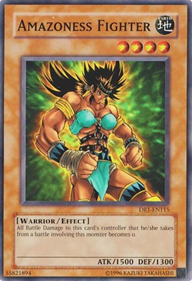 Amazoness Fighter Dark Revelation Volume 1 Yu-Gi-Oh! card