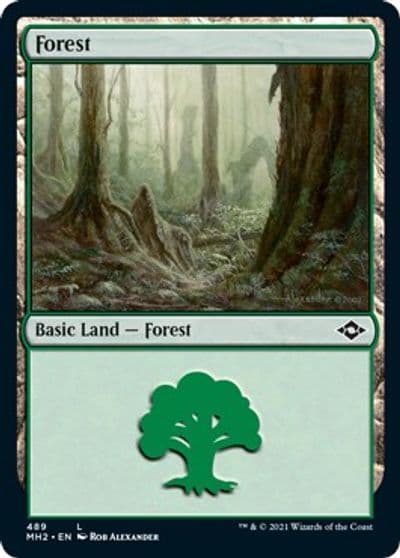 Forest 489 Foil Etched Modern Horizons 2 Magic card