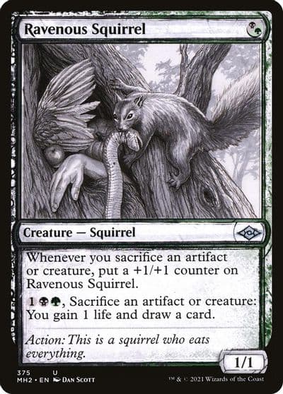Ravenous Squirrel Showcase Modern Horizons 2 Magic card