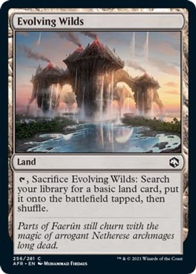 Evolving Wilds Adventures in the Forgotten Realms Magic card