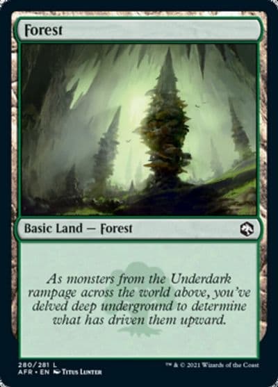 Forest 280 Adventures in the Forgotten Realms Magic card