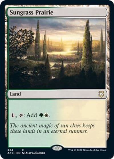 Sungrass Prairie Commander: Adventures in the Forgotten Realms Magic card