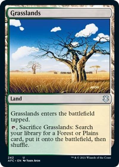 Grasslands Commander: Adventures in the Forgotten Realms Magic card