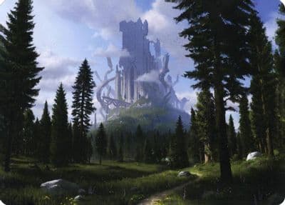 Forest 61 81 Art Card Art Series: Adventures in the Forgotten Realms Magic card
