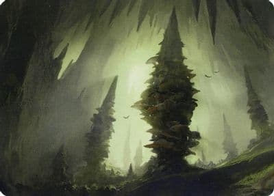 Forest 55 81 Art Card Art Series: Adventures in the Forgotten Realms Magic card