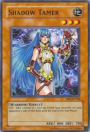 Shadow Tamer Dark Beginning 2 Yu-Gi-Oh! card