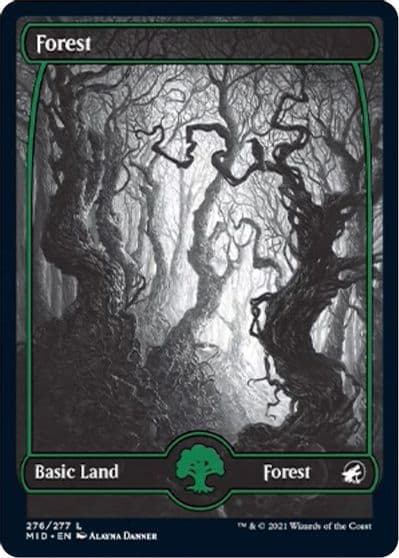 Forest 276 Innistrad: Midnight Hunt Magic card