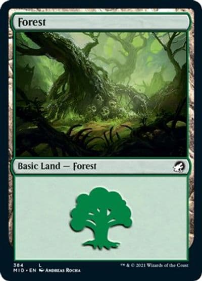 Forest 384 Innistrad: Midnight Hunt Magic card
