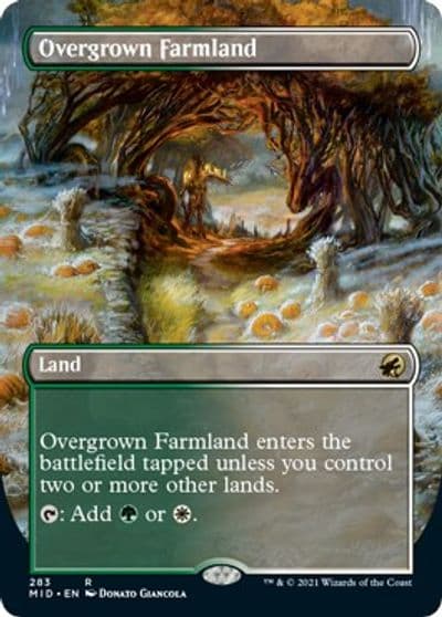 Overgrown Farmland Borderless Innistrad: Midnight Hunt Magic card