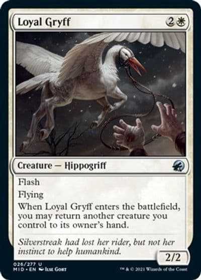Loyal Gryff Innistrad: Midnight Hunt Magic card