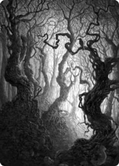 Forest Art Card 80 81 Art Series: Innistrad: Midnight Hunt Magic card