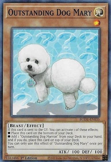 Outstanding Dog Mary Burst of Destiny Yu-Gi-Oh! card
