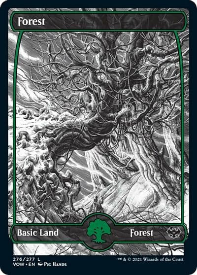 Forest 276 Innistrad: Crimson Vow Magic card