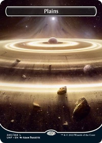Plains 240 Borderless Unfinity Magic card