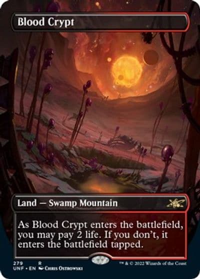 Blood Crypt Borderless Unfinity Magic card