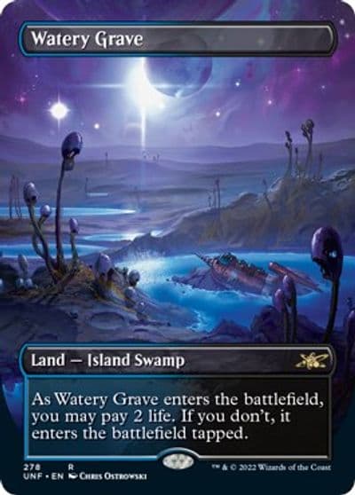 Watery Grave Borderless Unfinity Magic card