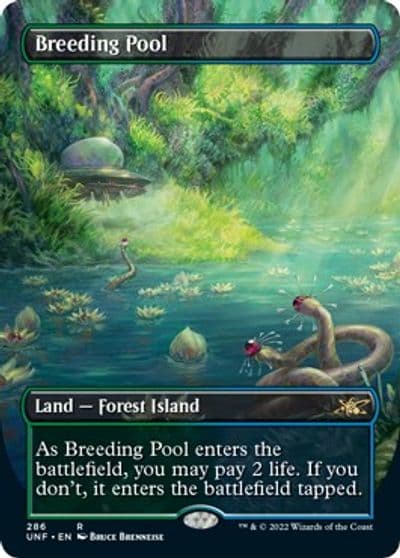 Breeding Pool Borderless Unfinity Magic card